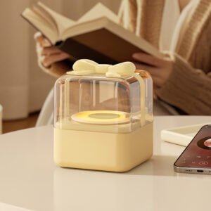 Gift Box Bluetooth Speaker